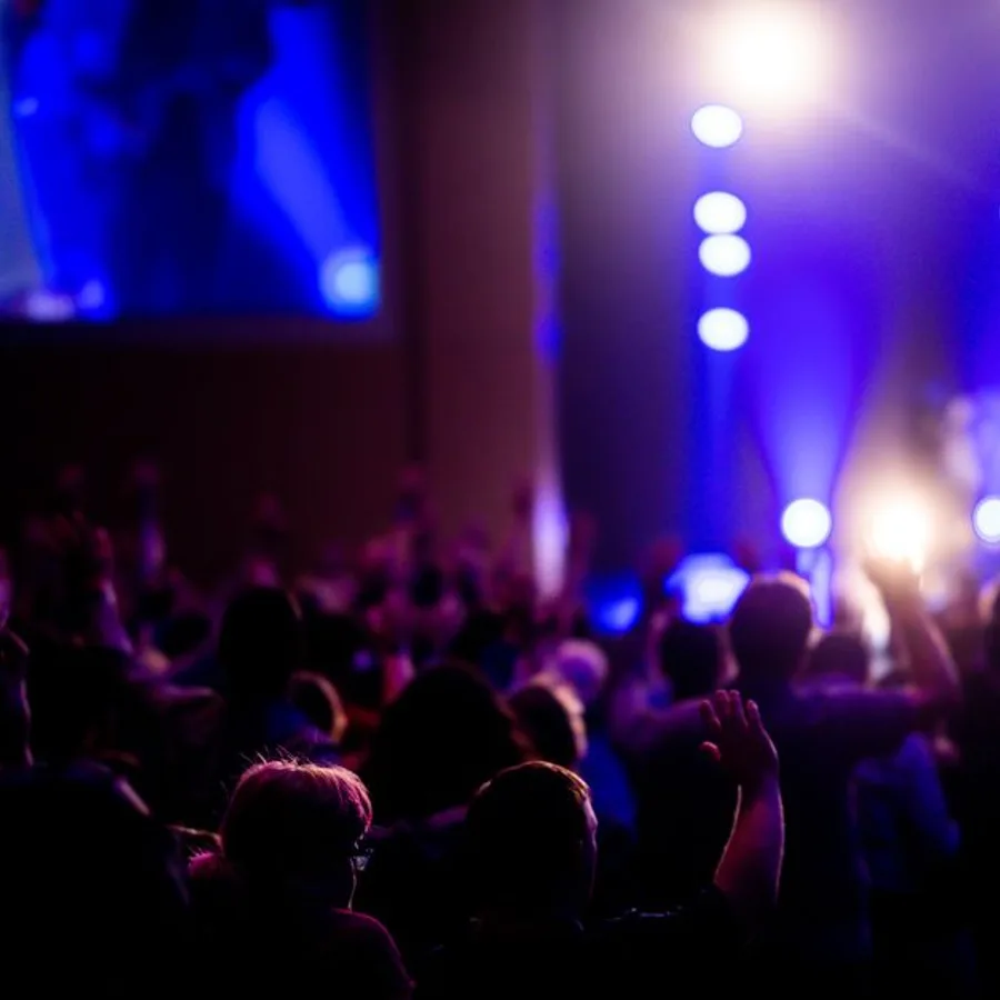 Festival Organizasyon