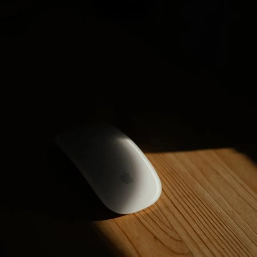 Kablosuz Mouse