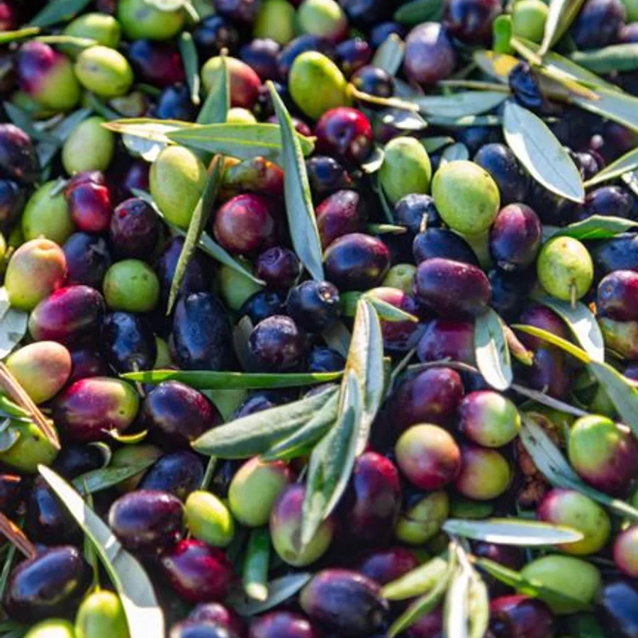 Doğal Zeytin 1kg