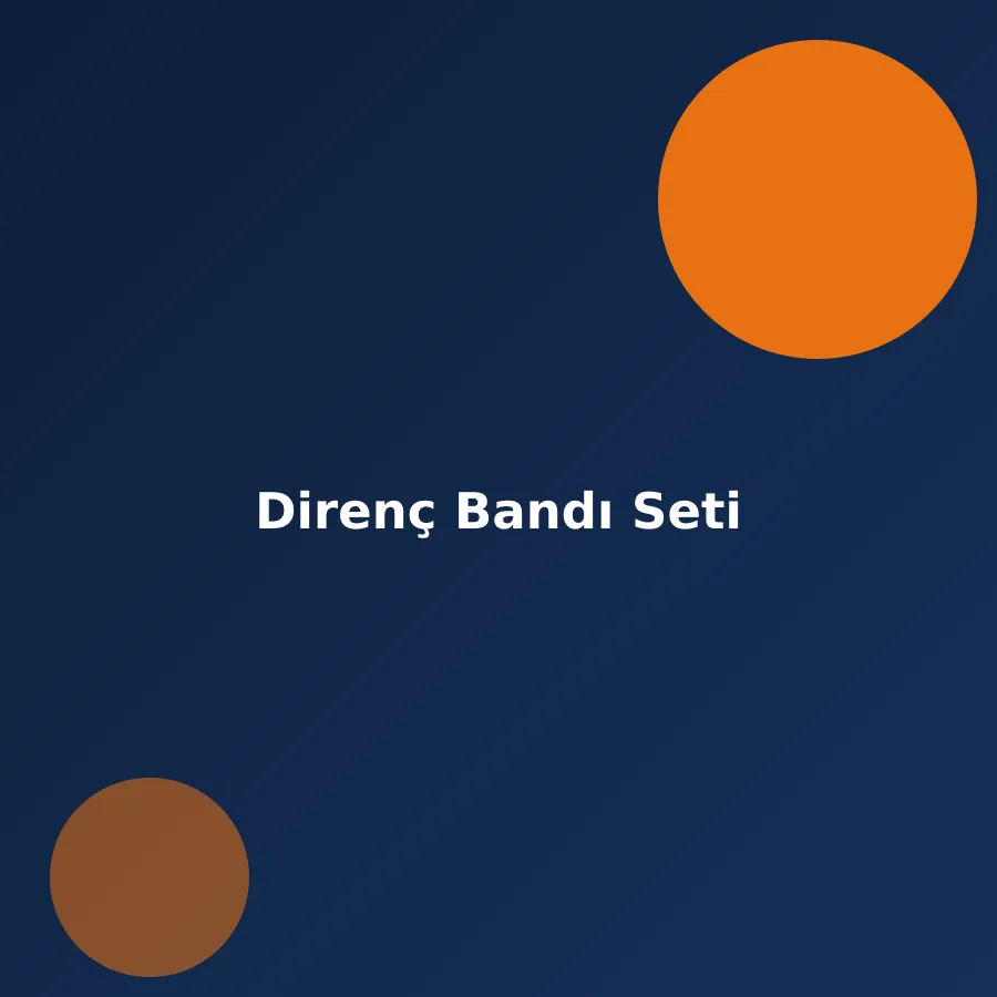 Direnç Bandı Seti
